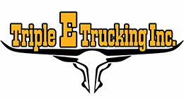 Triple E Trucking Inc's Logo